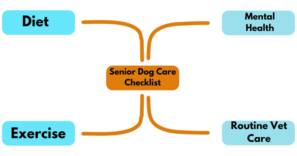 Senior Dog Care Checklist