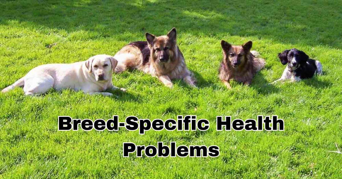 Breed-Specific Health Problems