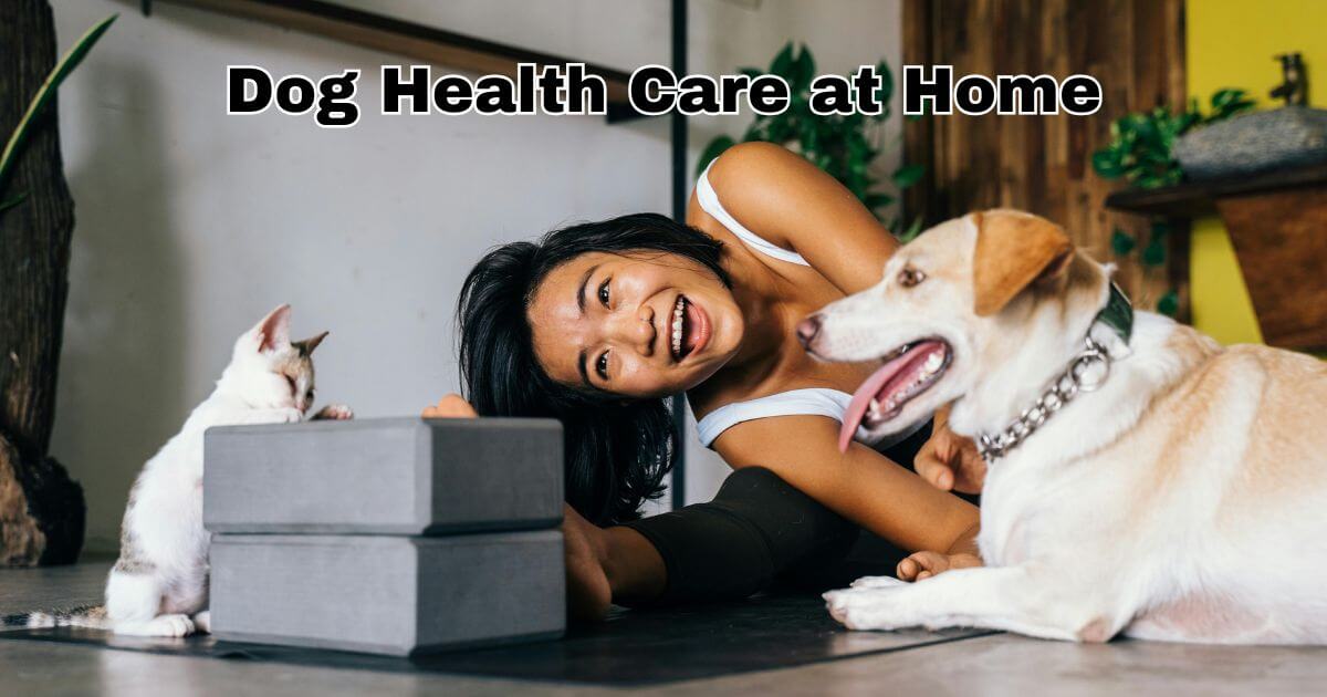 Dog Health Care at Home