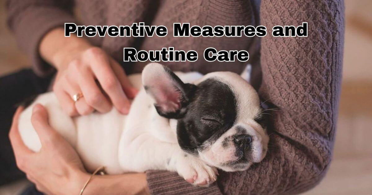 Preventive Measures and Routine Care for Boxers