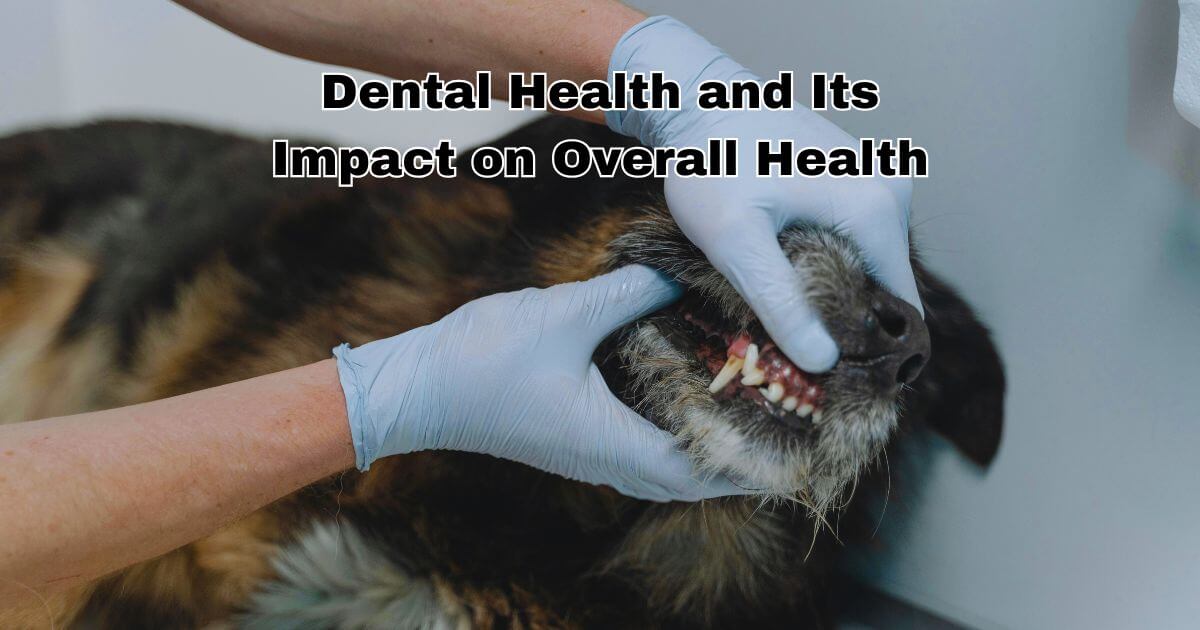 Dental Health and Its Impact on Overall Health