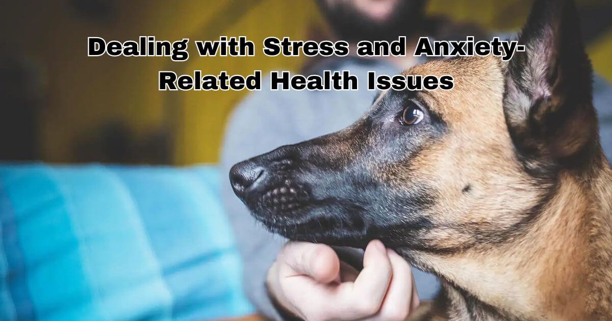 Dealing with Stress and Anxiety-Related Health Issues in Dogs