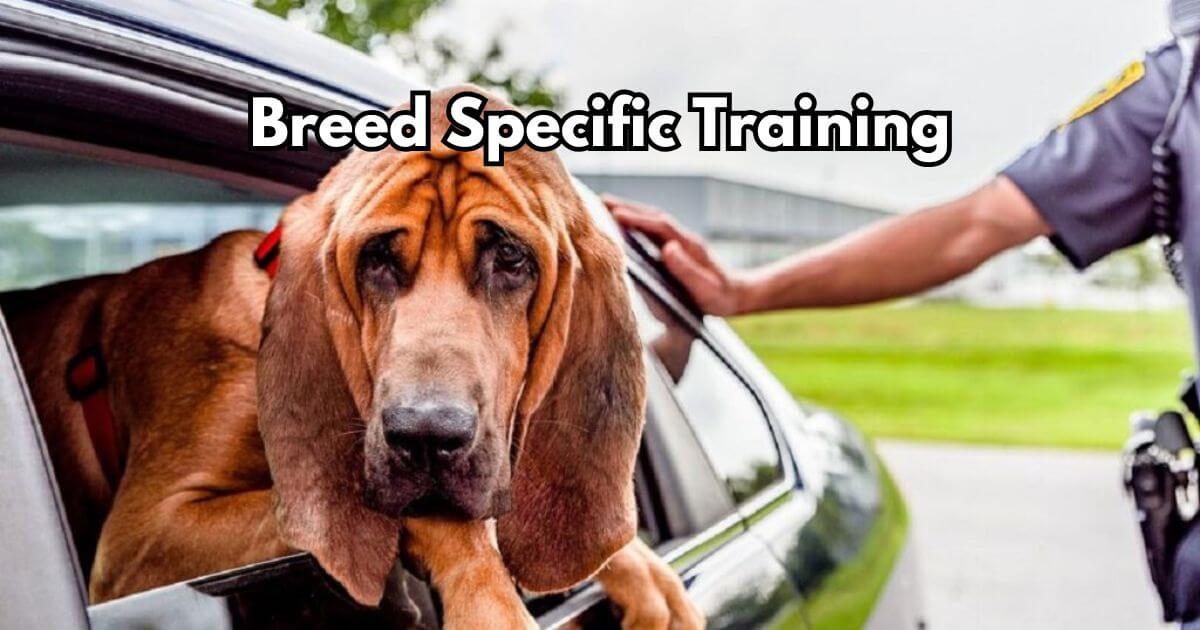 Breed-Specific Training